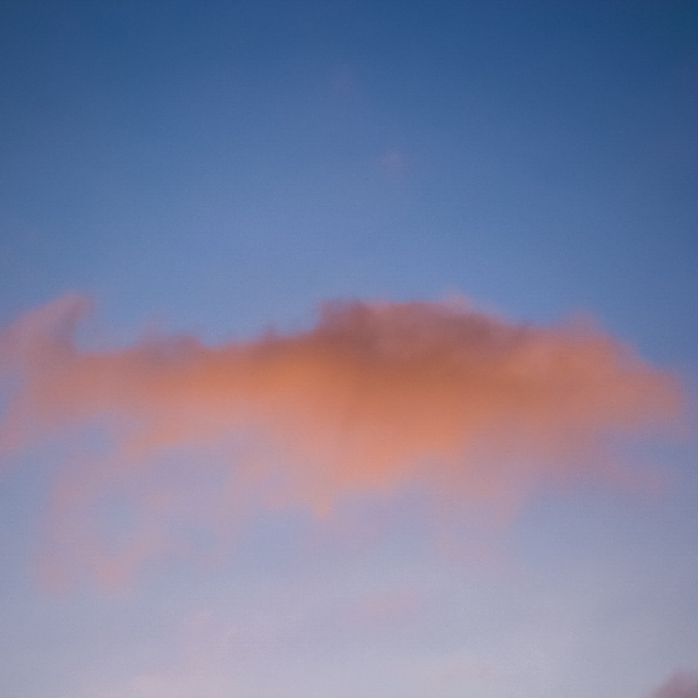 Meet your Posher, Noah